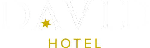 Logo David Hotel Regensburg